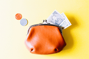 数年の分割で１月の負担を少なく支払いたい